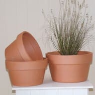 Terracotta Azalea Pot