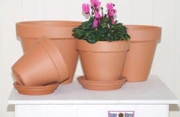 Terracotta Standard Pot